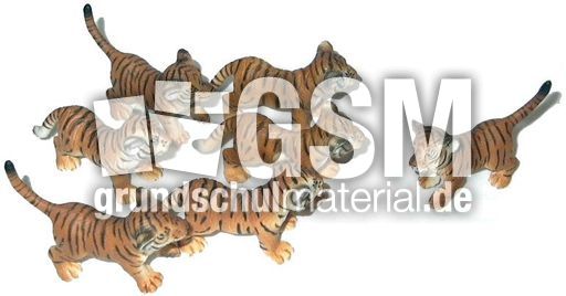Tiger6+1.jpg
